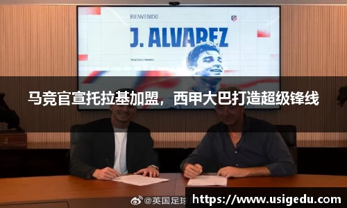 彩神VI首页官网