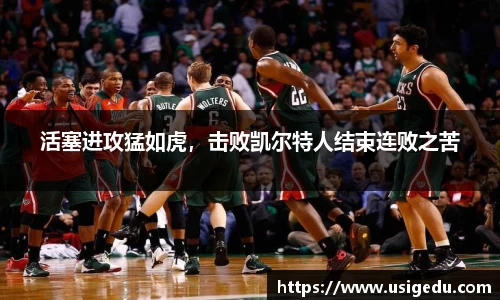 彩神VI首页官网