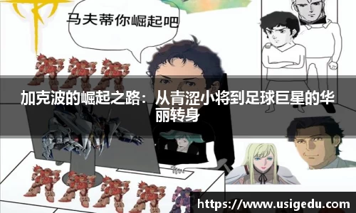 彩神VI首页官网