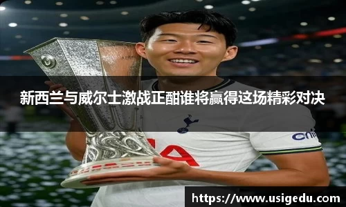 彩神VI首页官网