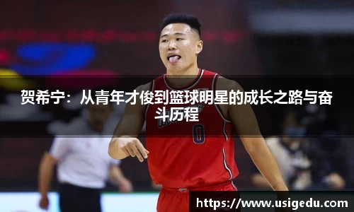 彩神VI首页官网