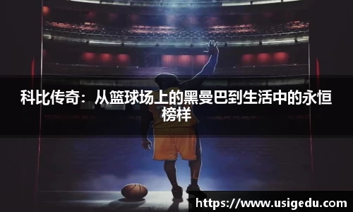 彩神VI首页官网