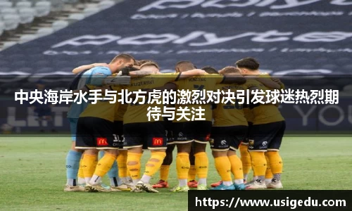 彩神VI首页官网