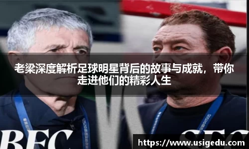 彩神VI首页官网