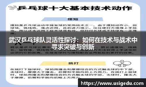 武汉乒乓球队灵活性探讨：如何在技术与战术中寻求突破与创新