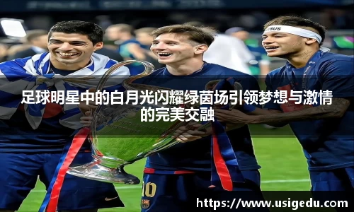 足球明星中的白月光闪耀绿茵场引领梦想与激情的完美交融