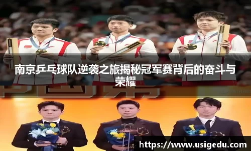 南京乒乓球队逆袭之旅揭秘冠军赛背后的奋斗与荣耀